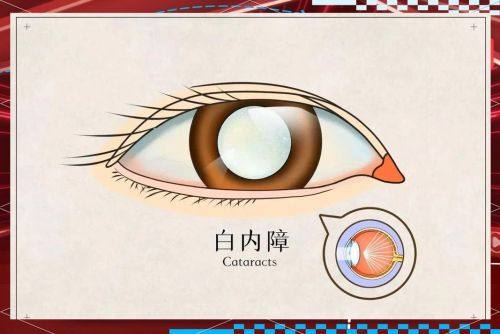 保定市第二中 心医院眼科地址电话营业时间