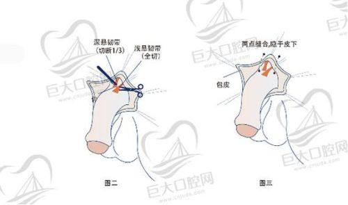 沈阳格林医疗美容诊所特色项目及技术优势