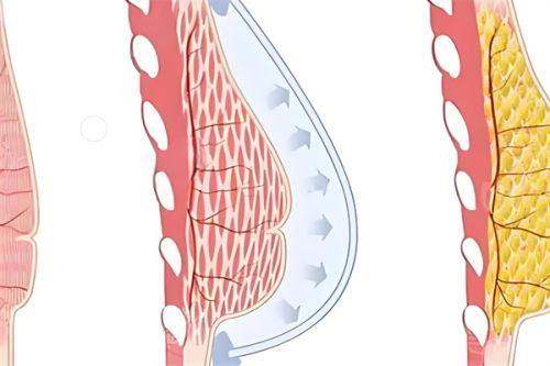 北京德美诊联医疗美容诊所详细的预约挂号方式及流程