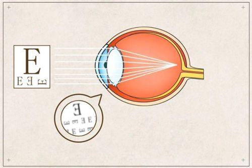 泰州市康目眼科门诊收费价格表/收费标准
