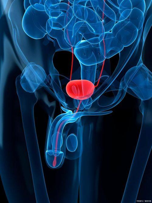 天津艾丽苏蔓医疗美容门诊部详细的预约挂号方式及流程