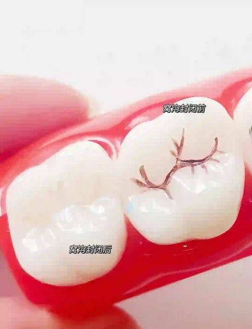 南京栖霞康源口腔门诊部收费价格表/收费标准