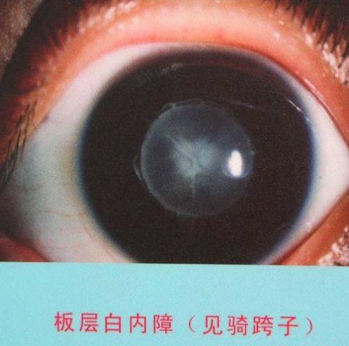 南通市第四人民医院地址电话营业时间