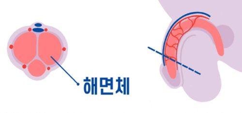徐爱兵医生预约挂号