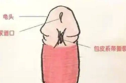 陶革方医生坐诊医院