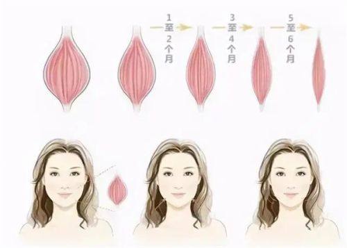 陶革方医生擅长项目