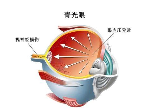 重庆好儿瞳眼科详细的预约挂号方式及流程