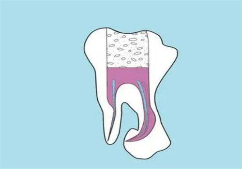 重庆德信家乐口腔门诊部收费价格表/收费标准