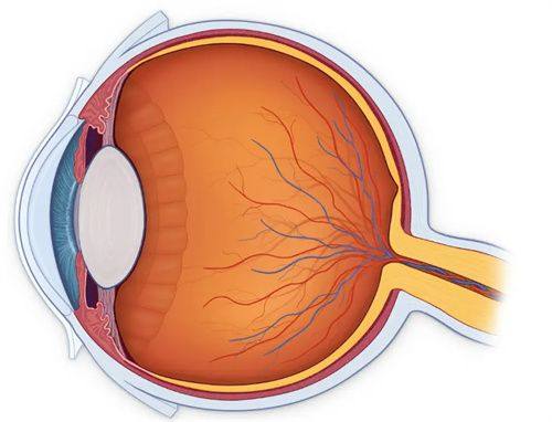 青岛眼科医院收费价格表/收费标准