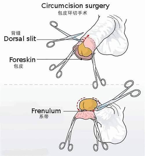 医生团队实力强大及骨干医生简介