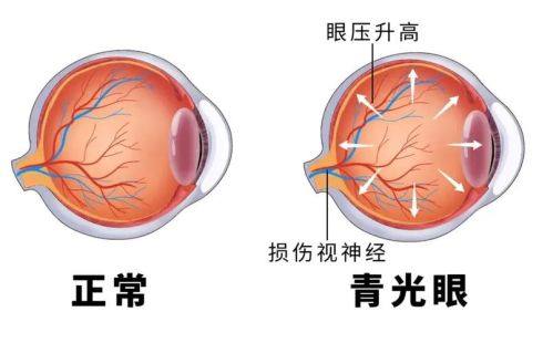 武汉市黄陂区人民医院眼科医生团队实力强大及骨干医生简介
