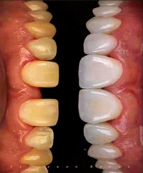 固芽口腔门诊部（高新店）医生团队实力强大及骨干医生简介