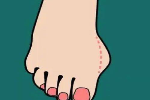 石红卫医生价格表