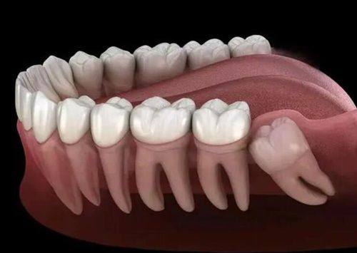 李从鑫医生预约挂号