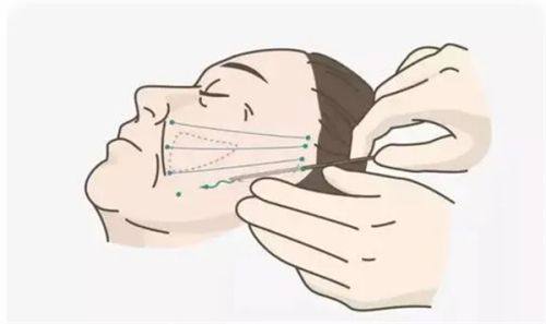 口碑评价及真人实例