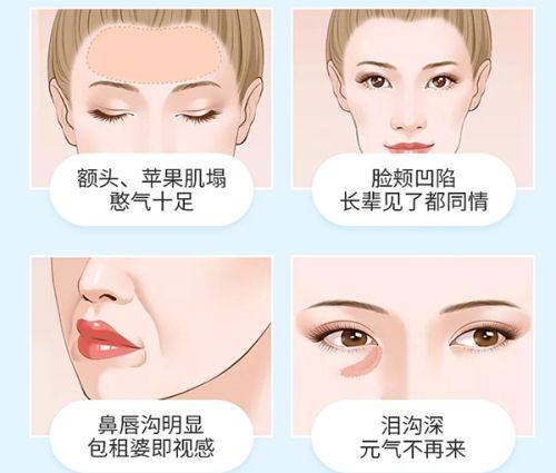 肖敬贞医生价格表