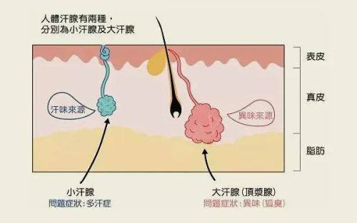 南宁伯克利医疗美容诊所收费价格表/收费标准