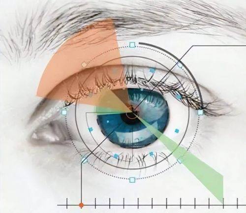 冯志贞医生价格表