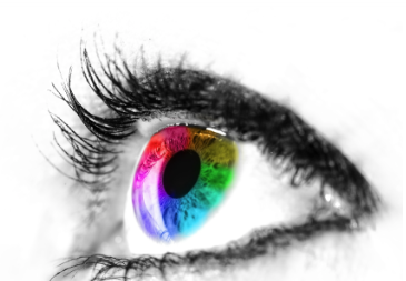 杨筱曦医生价格表