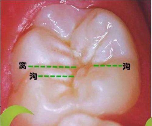 贵州德雅口腔诊所医生团队实力强大及骨干医生简介