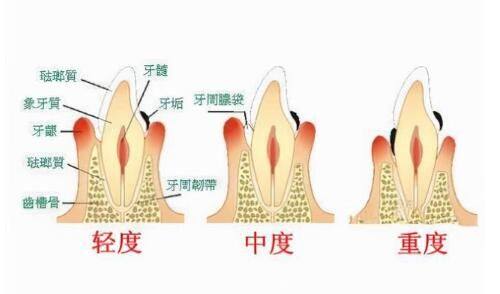 肖敬贞医生擅长项目