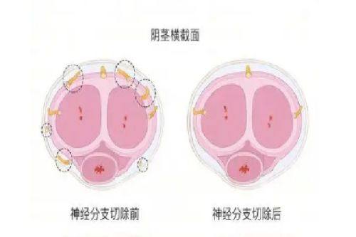 黑龙江华澳医院详细的预约挂号方式及流程