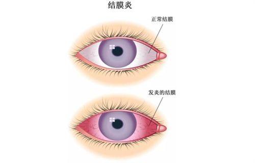 医院地址电话营业时间