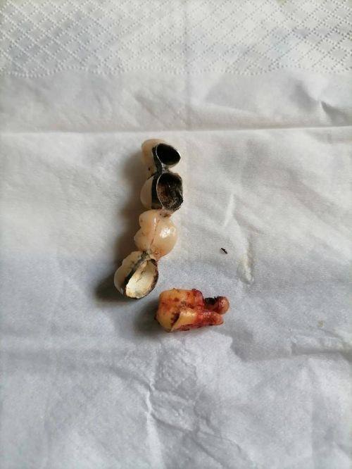 特色项目及技术优势