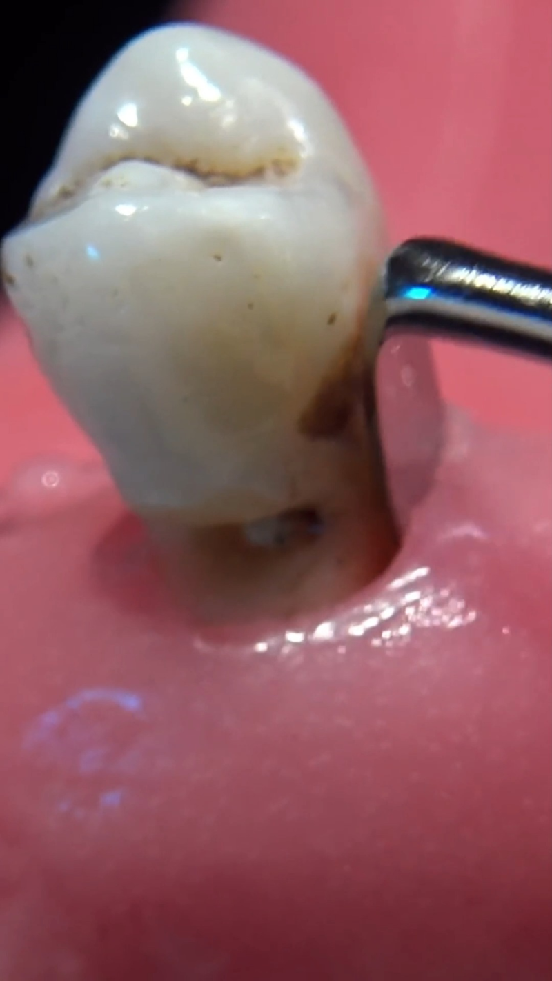 林慧明医生价格表