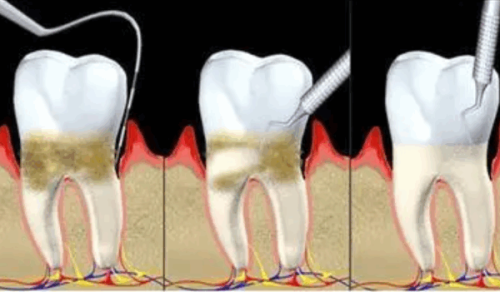 李从鑫医生预约挂号