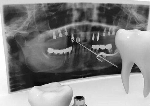 赵蔚琳医生执医荣誉