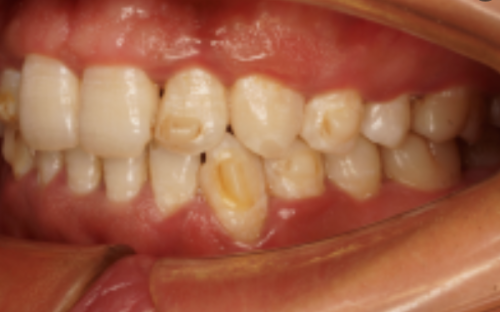 赵蔚琳医生执医荣誉