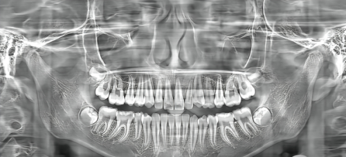 赵蔚琳医生预约挂号