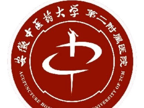 安徽中 医 药大学第二附属医院眼科收费价格表/收费标准