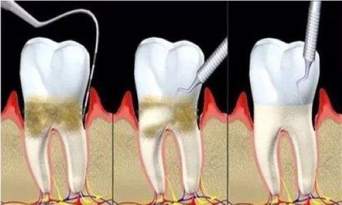 林慧明医生坐诊医院