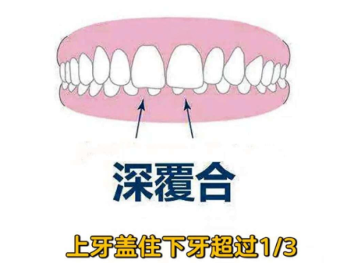 赵蔚琳医生预约挂号