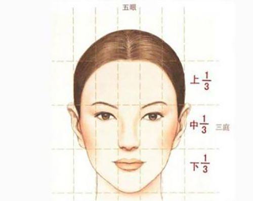 王蕊芳医生执医荣誉