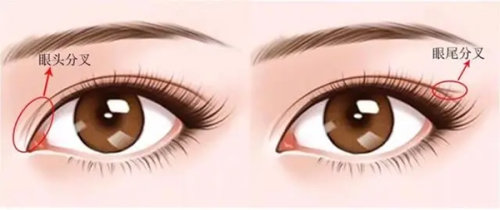 肖敬贞医生坐诊医院