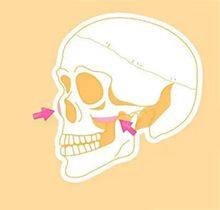 叶进医生预约挂号