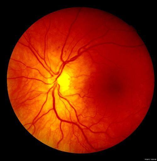 广州番禺英华眼科门诊部详细的预约挂号方式及流程