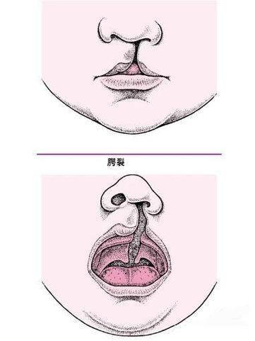 佳木斯市向阳区天虹医疗美容门诊部真人口碑评价怎么样？