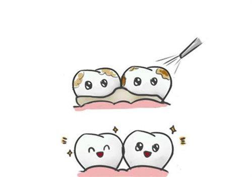 赵中华医生预约挂号