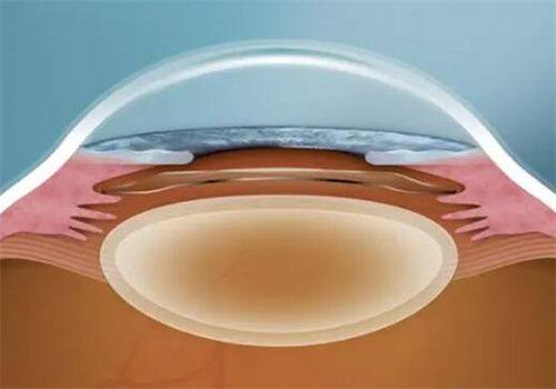 林文医生坐诊医院