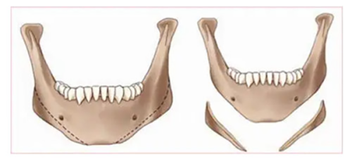钟铄医生价格表