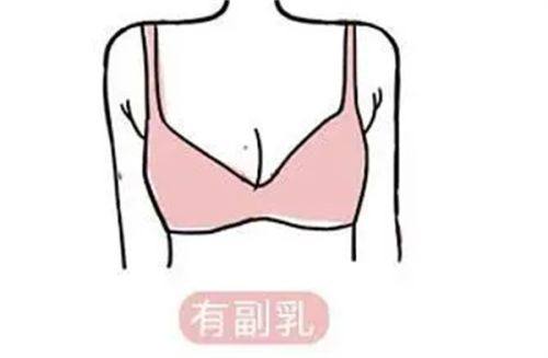 口碑评价及真人实例