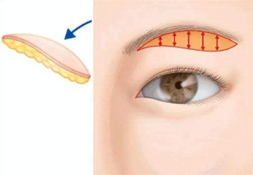 徐爱兵医生执医荣誉