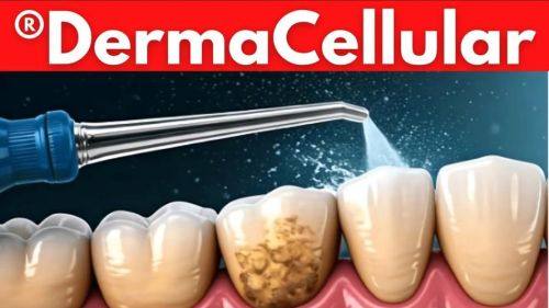 衡阳市石鼓区毫波牙科诊所详细的预约挂号方式及流程