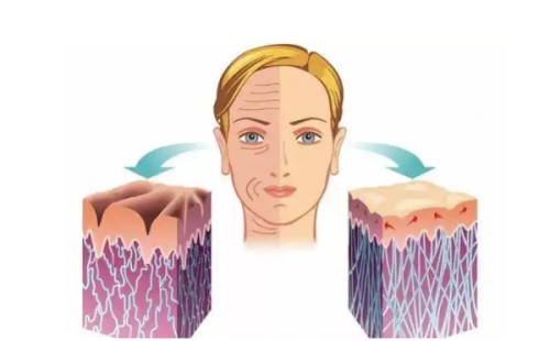 口碑评价及真人实例