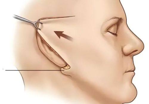 邵小晓医生坐诊医院