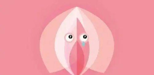 石红卫医生执医荣誉